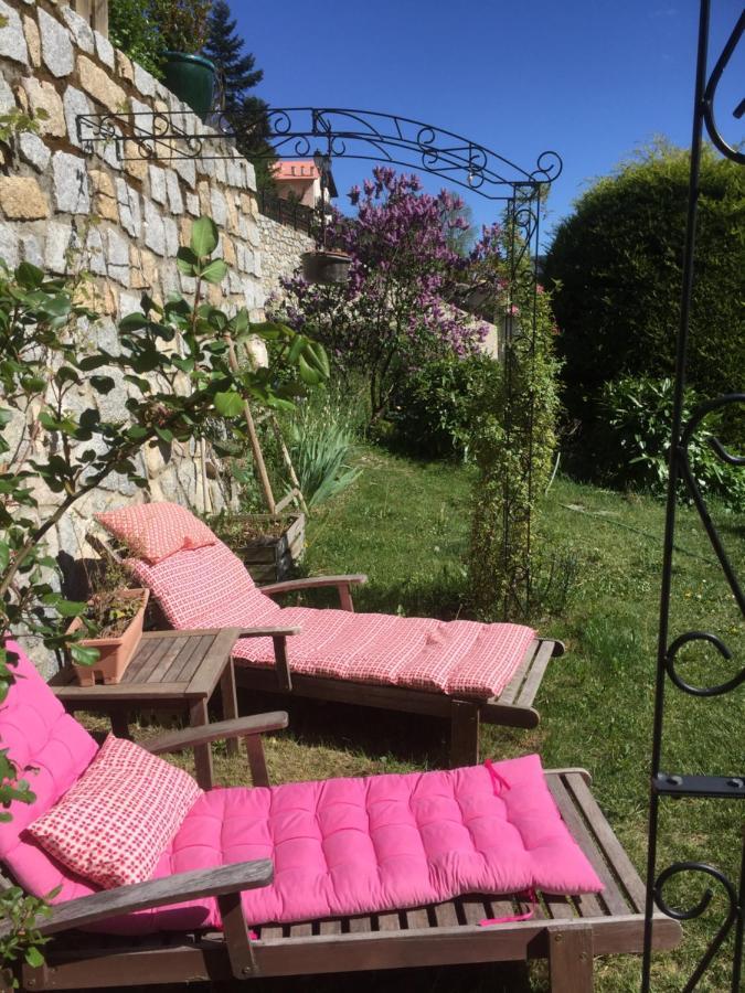 Saint-Martin-Vésubie Rez De Jardin De Chalet Bois , Calme Et Verdure ! מראה חיצוני תמונה